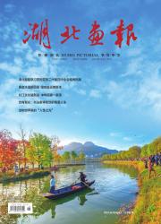 《湖北画报》2025年12期