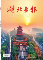 《湖北画报》2025年03期