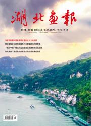 《湖北画报》2025年08期