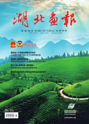 《湖北画报》2025年01期