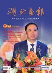 《湖北画报》2025年02期