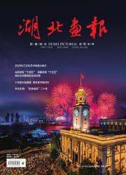 《湖北画报》2025年11期