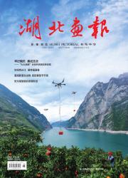 《湖北画报》2025年06期