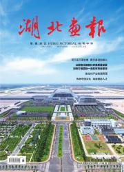 《湖北画报》2025年05期