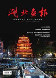 《湖北画报》2025年09期