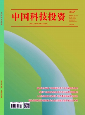 《中国科技投资》2025年07期