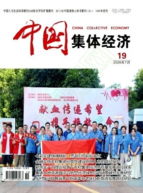 《中国集体经济》2026年19期往期目录