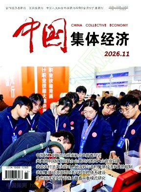 《中国集体经济》2026年11期往期目录