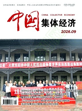 《中国集体经济》2026年09期往期目录