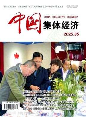 《中国集体经济》2025年35期往期目录