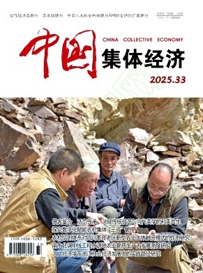 《中国集体经济》2025年33期往期目录