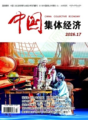 《中国集体经济》2026年17期往期目录