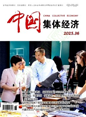 《中国集体经济》2025年36期往期目录