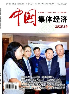 《中国集体经济》2025年34期往期目录