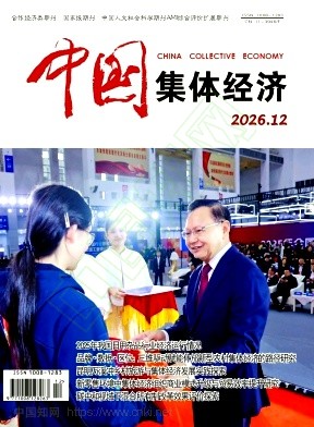 《中国集体经济》2026年12期往期目录