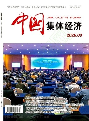《中国集体经济》2026年03期往期目录