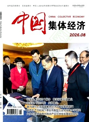 《中国集体经济》2026年08期往期目录