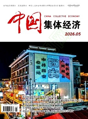 《中国集体经济》2026年05期往期目录