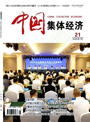 《中国集体经济》2026年21期往期目录