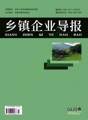 《乡镇企业导报》2026年07期往期目录