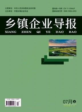 《乡镇企业导报》2026年13期往期目录