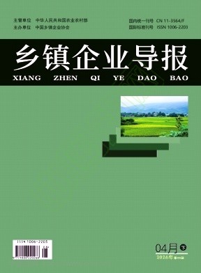 《乡镇企业导报》2026年08期往期目录